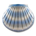 Shell Bio Urn Aqua - Water