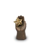 Hand With Star